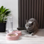 Pet Water Dispenser Slow Drinker with Food Bowl Slow Feeder for Pets Dogs NEW - Image 4