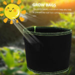 Onezebra 5-Pack 3 Gallon Grow Bags, Black, Grow Bags for Vegetables, Flowers, Herbs, Indoor/Outdoor Use, 22 cm (W) x 22 cm (L) x 25 cm (H) - Image 2