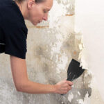 LYTIVAGEN 5 PCS Plastic Putty Knife Flexible Paint Scrapers Tool Painters Putty for Spackling, Patching, Decals, Wallpaper, Baking, Wall, Car Putty and Painting (1.5/2/3/4 / 6 Inch) - Image 4